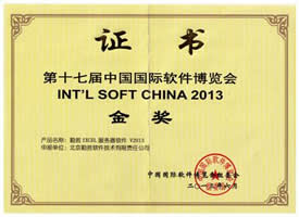 金奖2013