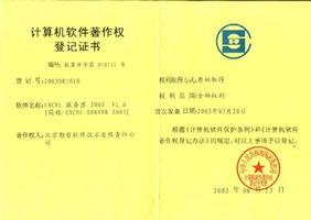 Excel服务器2003著作权