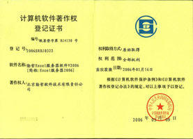 Excel服务器2006著作权