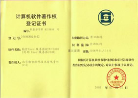 Excel服务器2008著作权